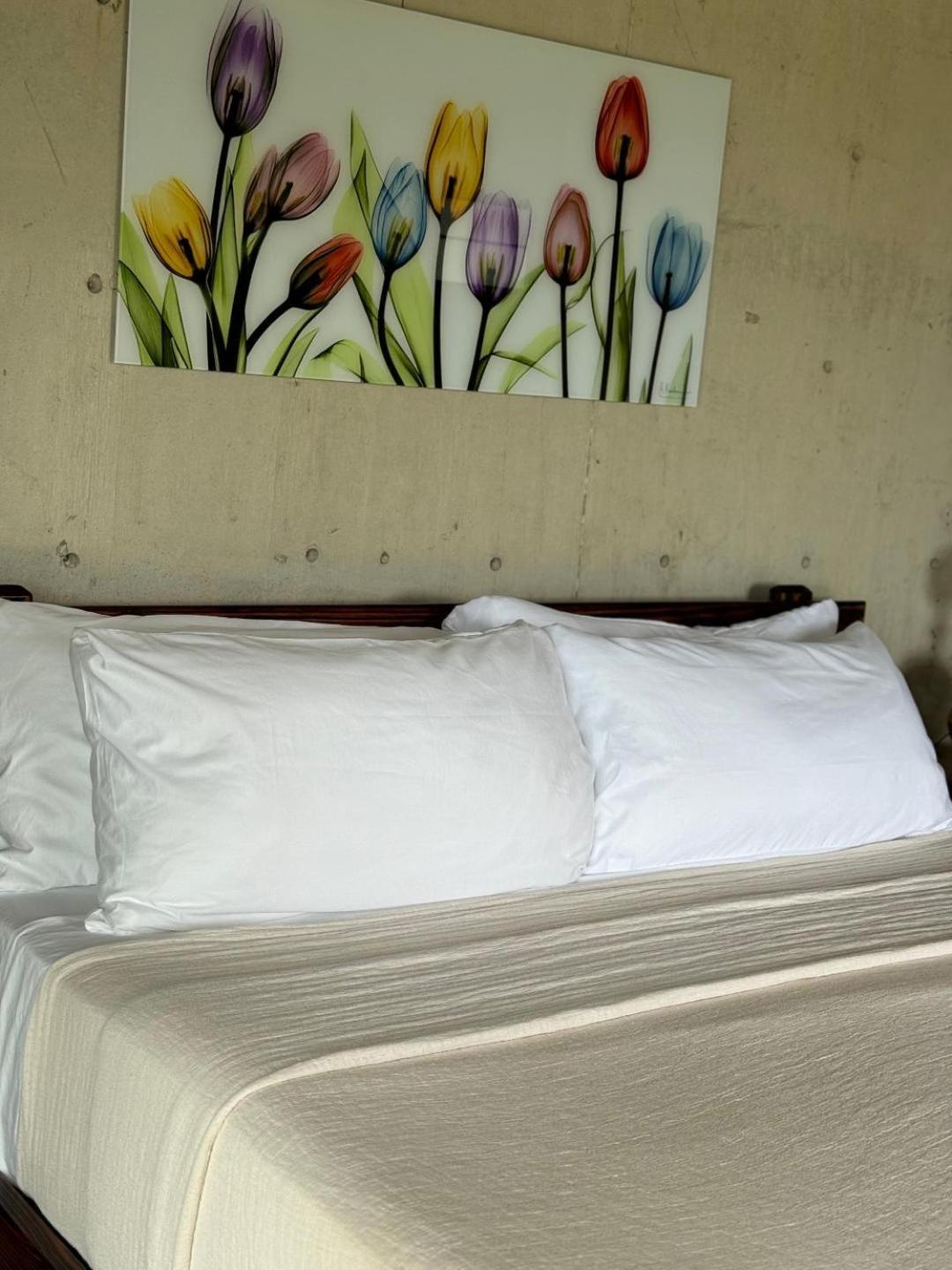 The Serene House Bed & Breakfast ルキリョ エクステリア 写真